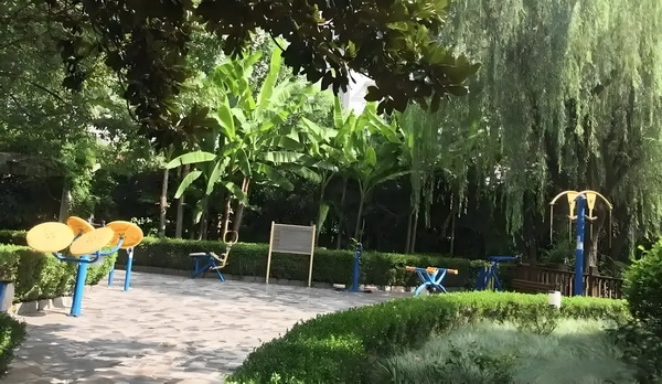 红楼之花开迎春笑