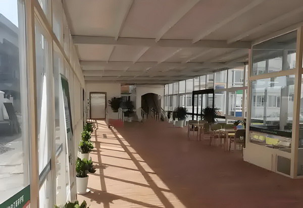 重生再次为后